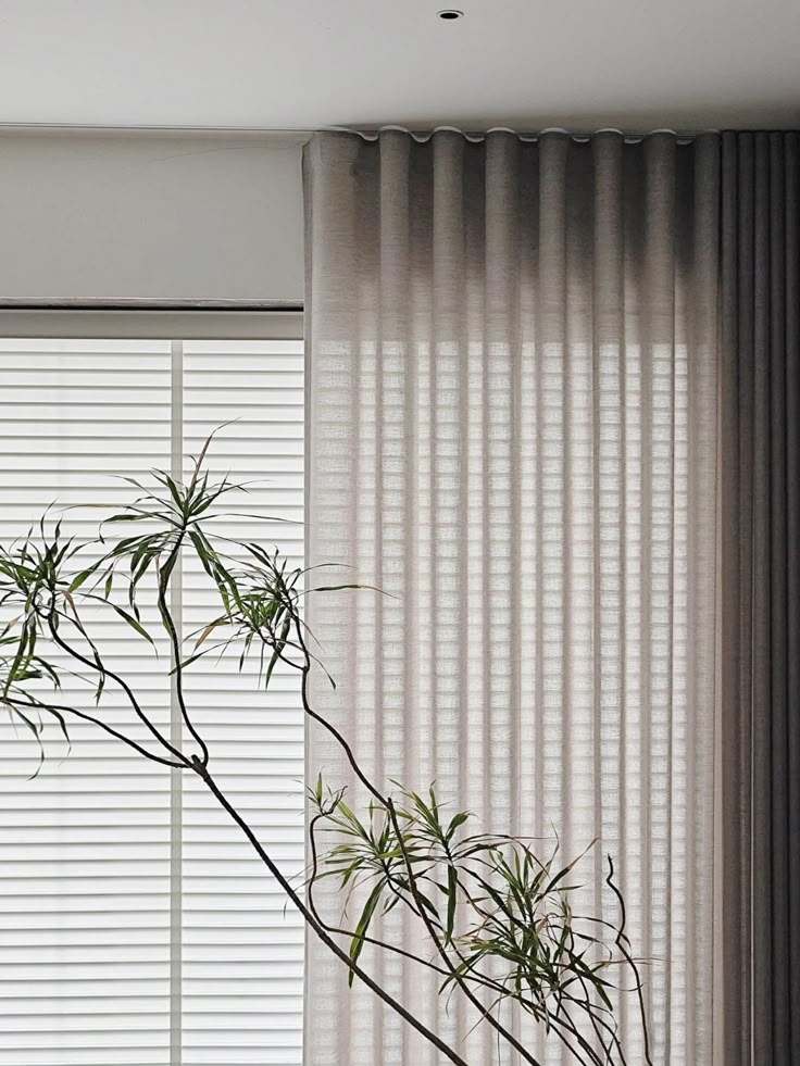 Stellar Tian Customizable shades roller blind Made for day and night use For Living Room & Bedroom Zebra Roller Blind Multi Color